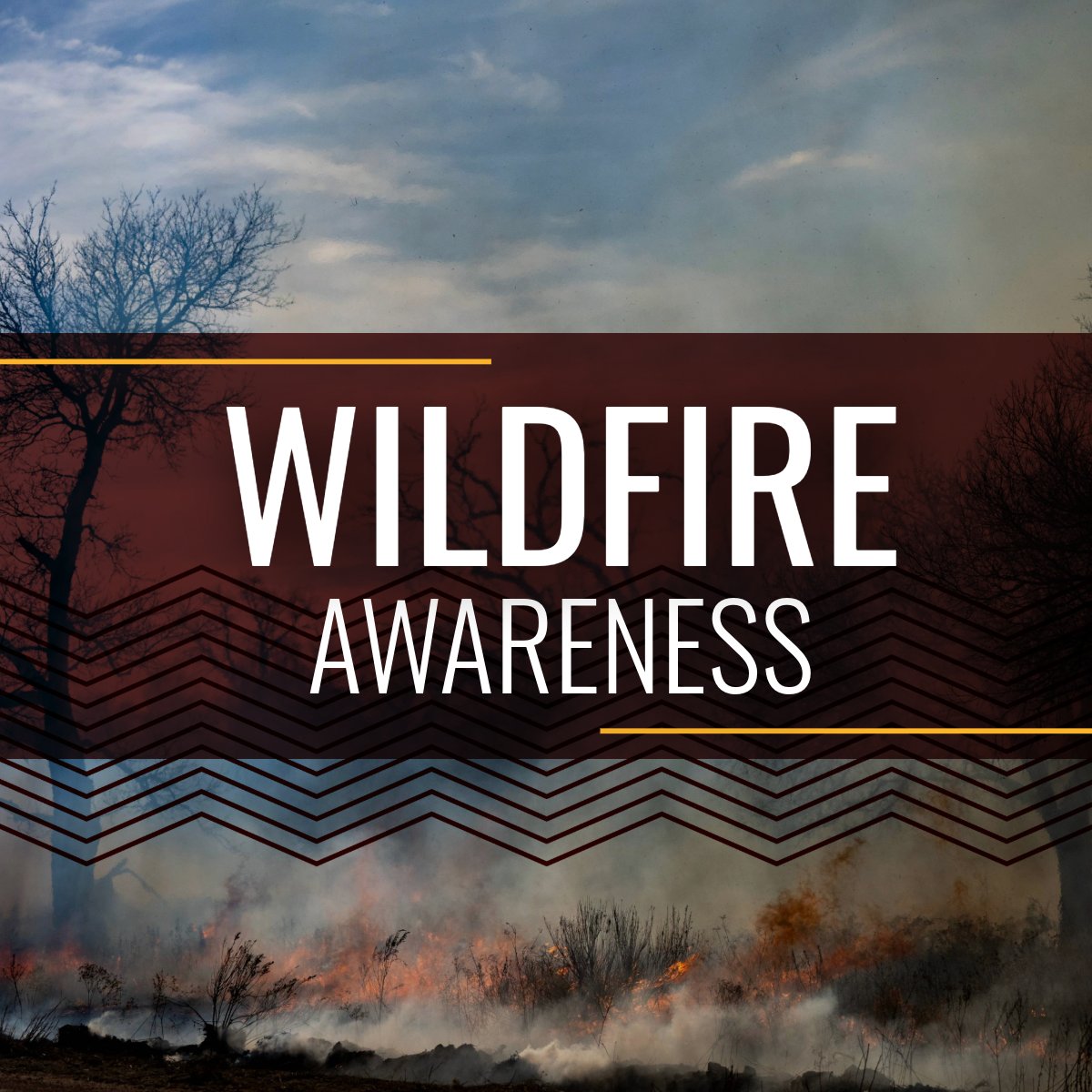 Texas A&M AgriLife Research tweet media