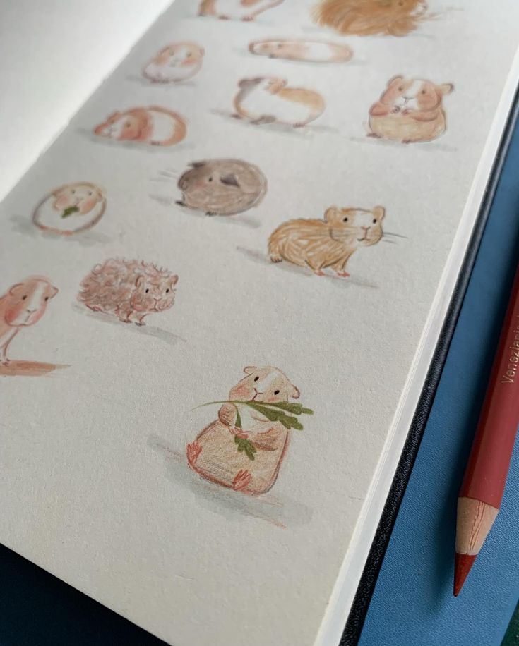 only cute things (@cutedreamvibes) on Twitter photo 