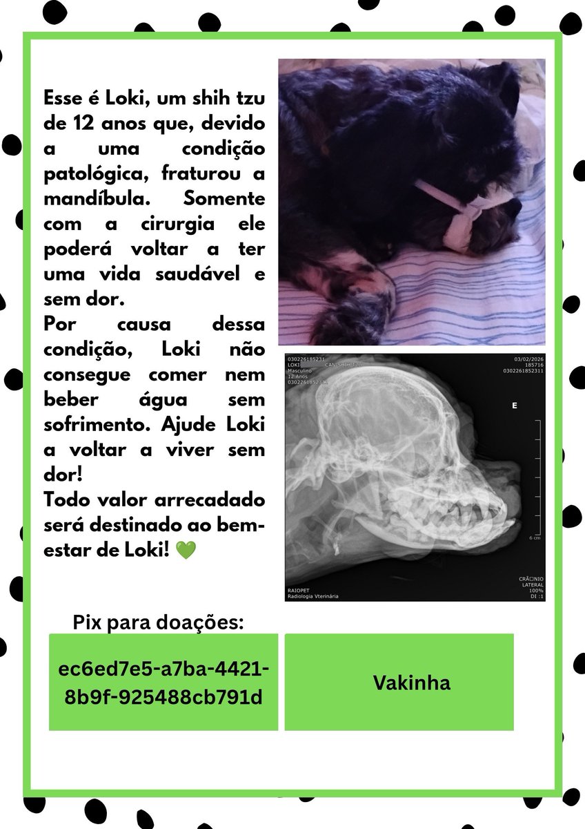 s_witchmoon's tweet image. Loki tentou beber água hj sozinho mas ele gritou tanto que eu quase chorei junto com ele, não tô aguentando mais ver ele sofrer

Vocês podem ajudar o meu Loki?
Link vakinha: vakinha.com.br/5931974

Pix para valores menores: ec6ed7e5-a7ba-4421-8b9f-925488cb791d