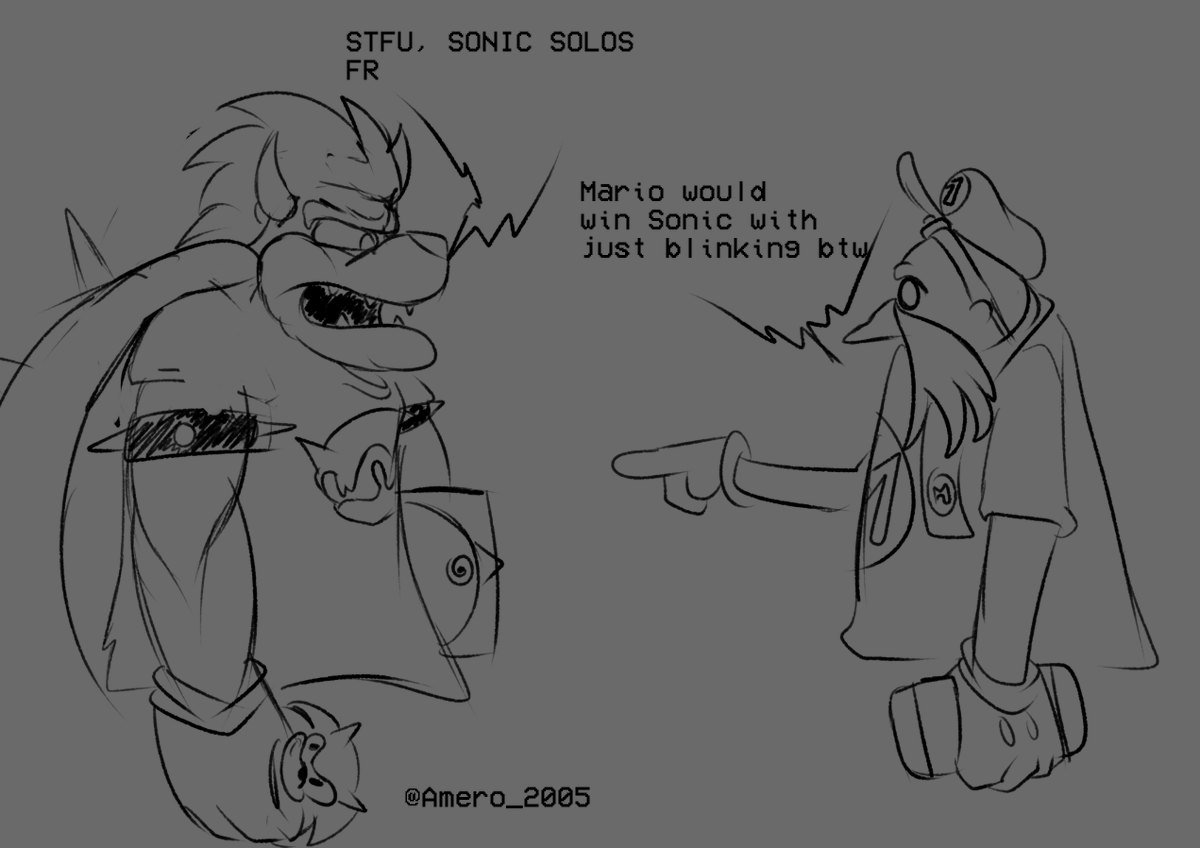 this is what I imagine everytime I see a Sonic vs Mario debate