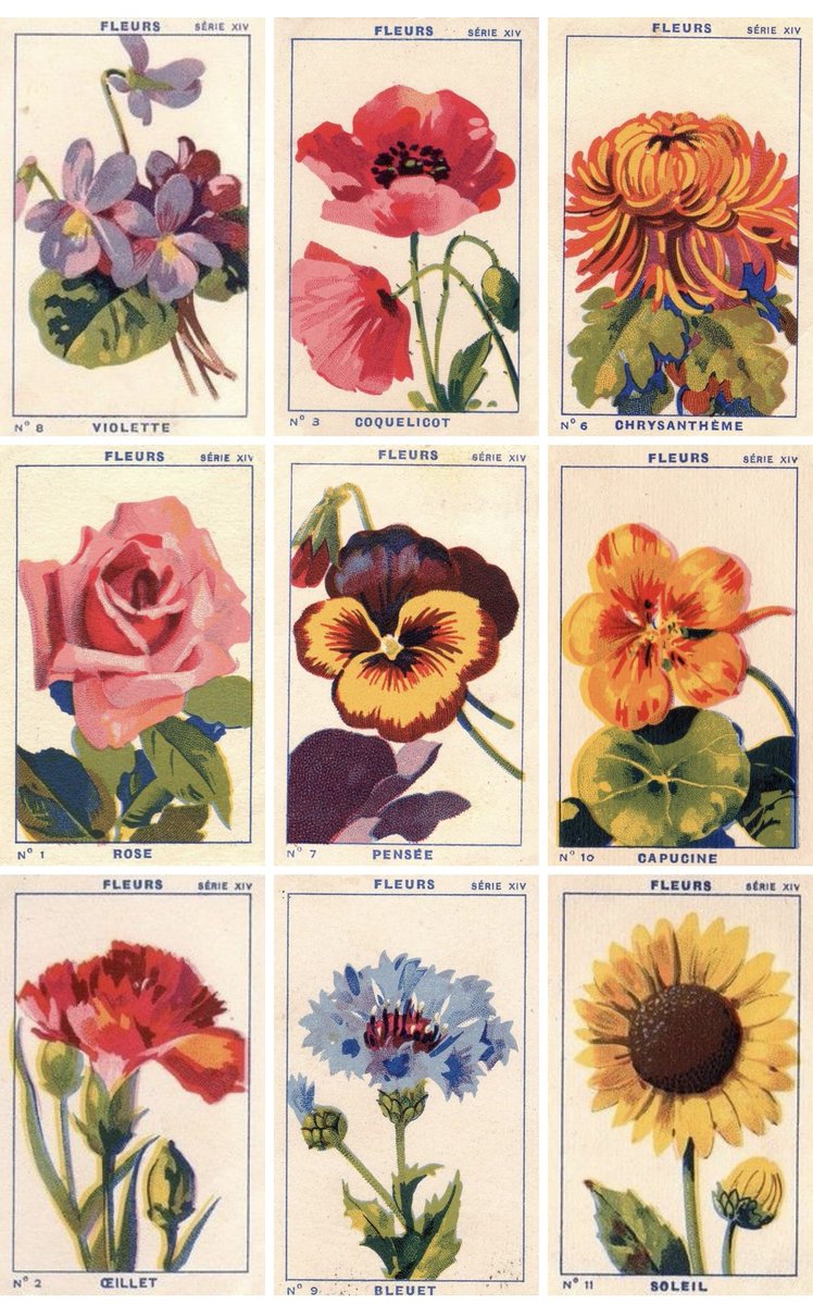 only cute things (@cutedreamvibes) on Twitter photo 