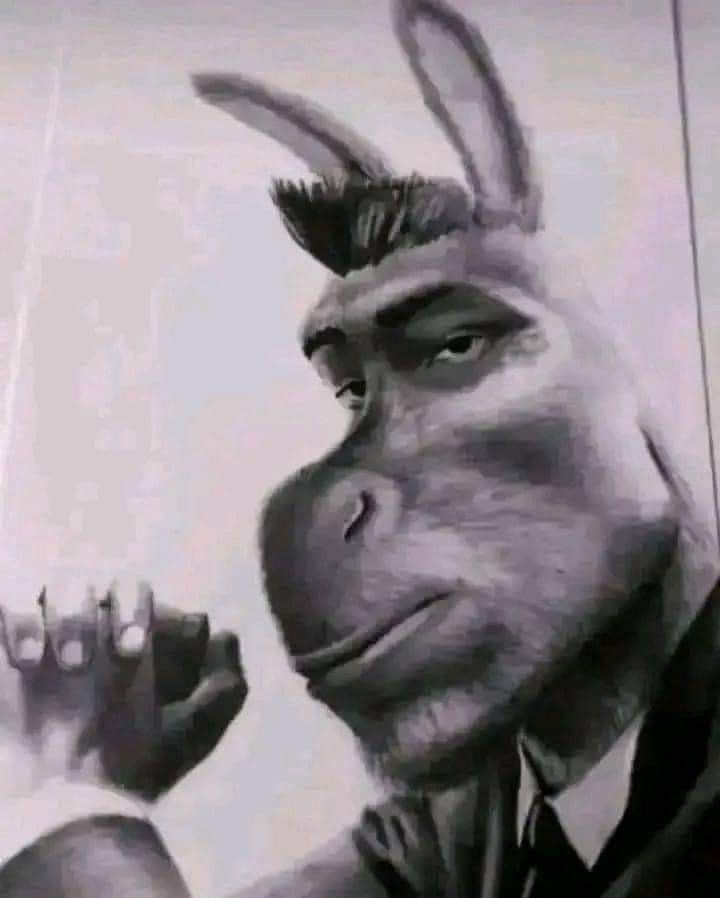 Ferrotoxin✨ tweet media