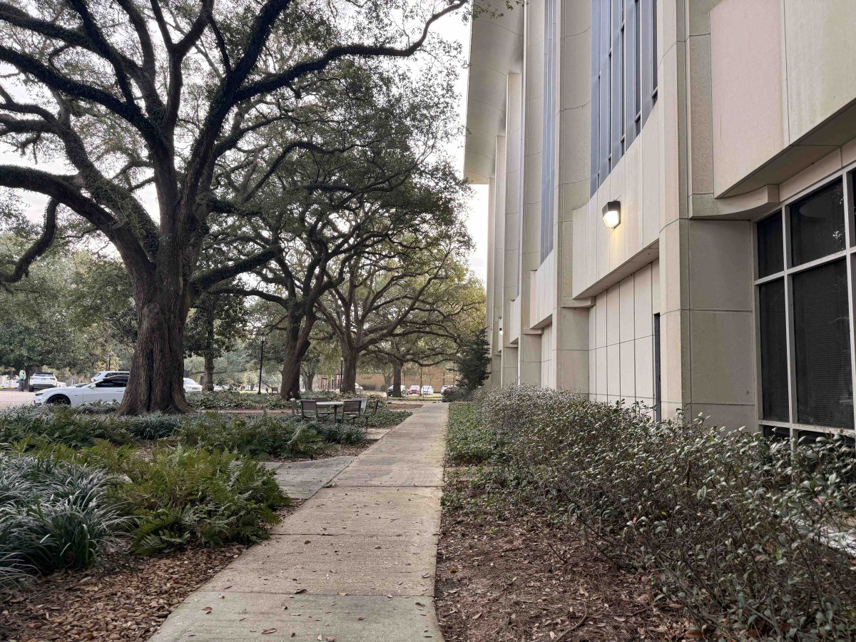 LSULawCenter tweet media