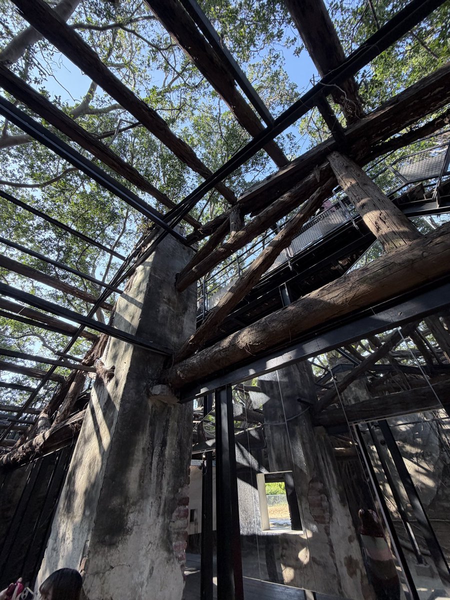 Marco D'Elia tweet media