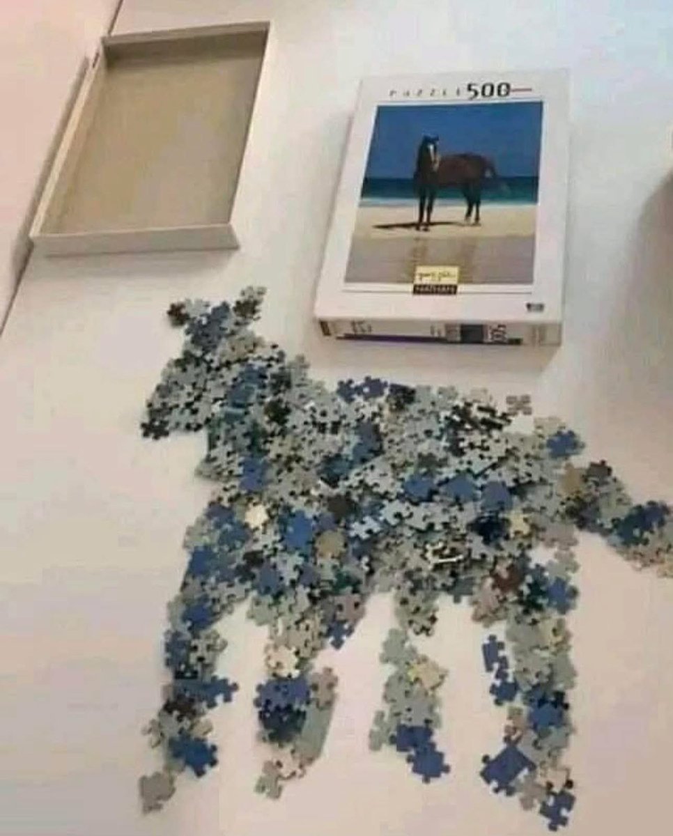 So this took forever, but I finally got it done! Something about puzzles that are so relaxing! If you haven't put one together, I truly suggest you do!! #nailedit #cameoutperfect #horsepuzzle