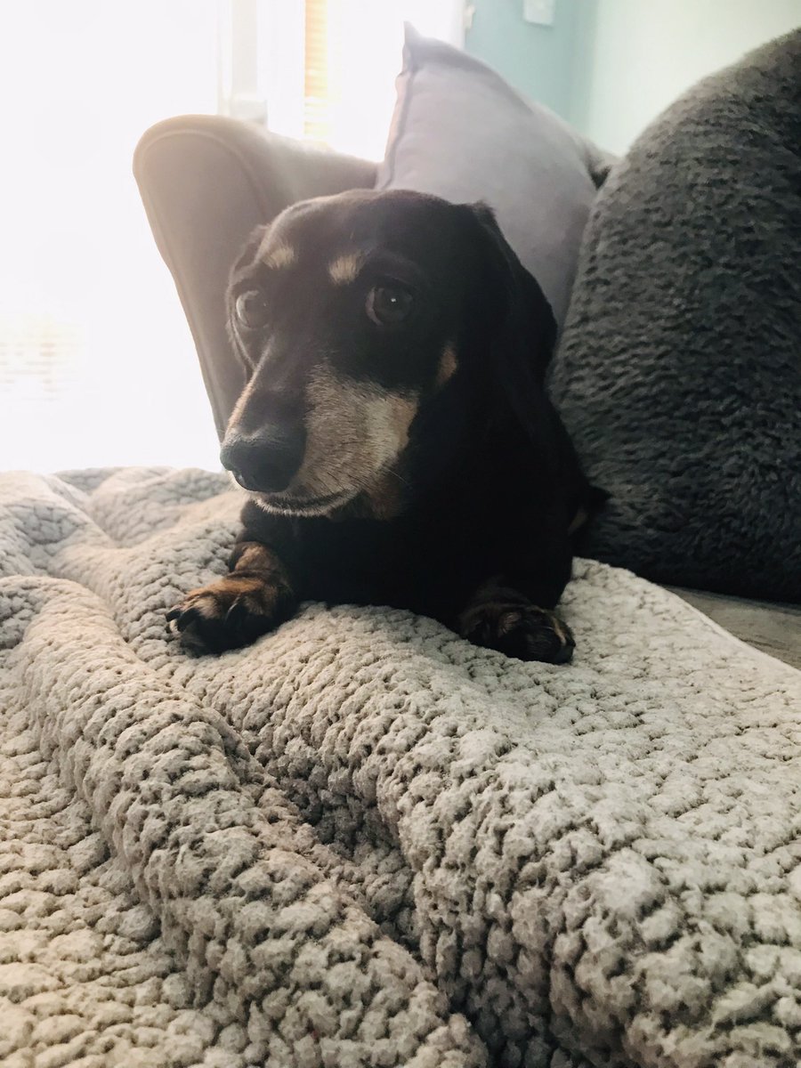 Ofwatson tweet media