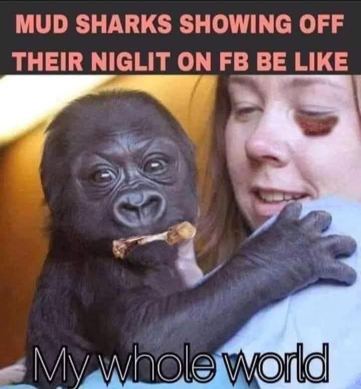 Goyblaster tweet media