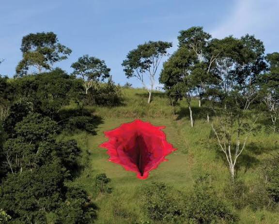 LayTXT's tweet photo. Todo ano me pego pensando em como tá aquela escultura da vulva de 33 metros feita numa montanha de Pernambuco em 2021. Queria muito uma atualização. https://t.co/1S2cvSzNKV