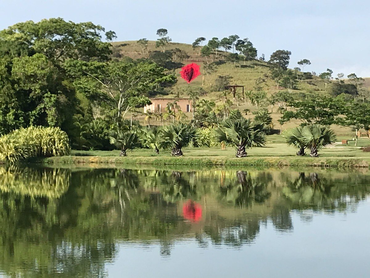 LayTXT's tweet photo. Todo ano me pego pensando em como tá aquela escultura da vulva de 33 metros feita numa montanha de Pernambuco em 2021. Queria muito uma atualização. https://t.co/1S2cvSzNKV