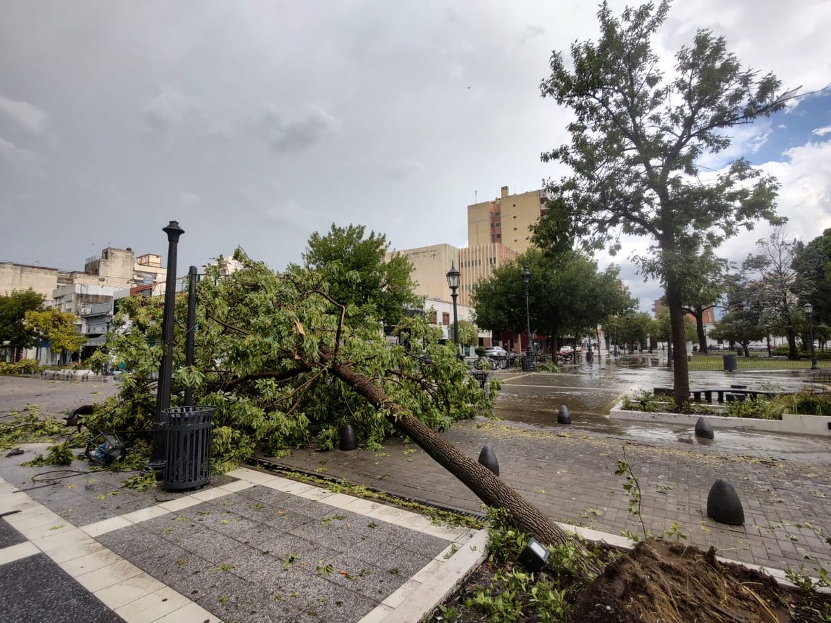 El Diario de La Pampa tweet media