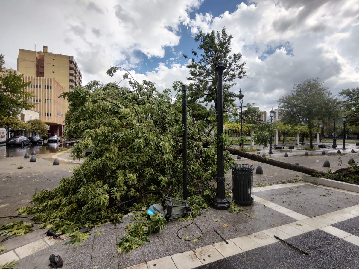 El Diario de La Pampa tweet media