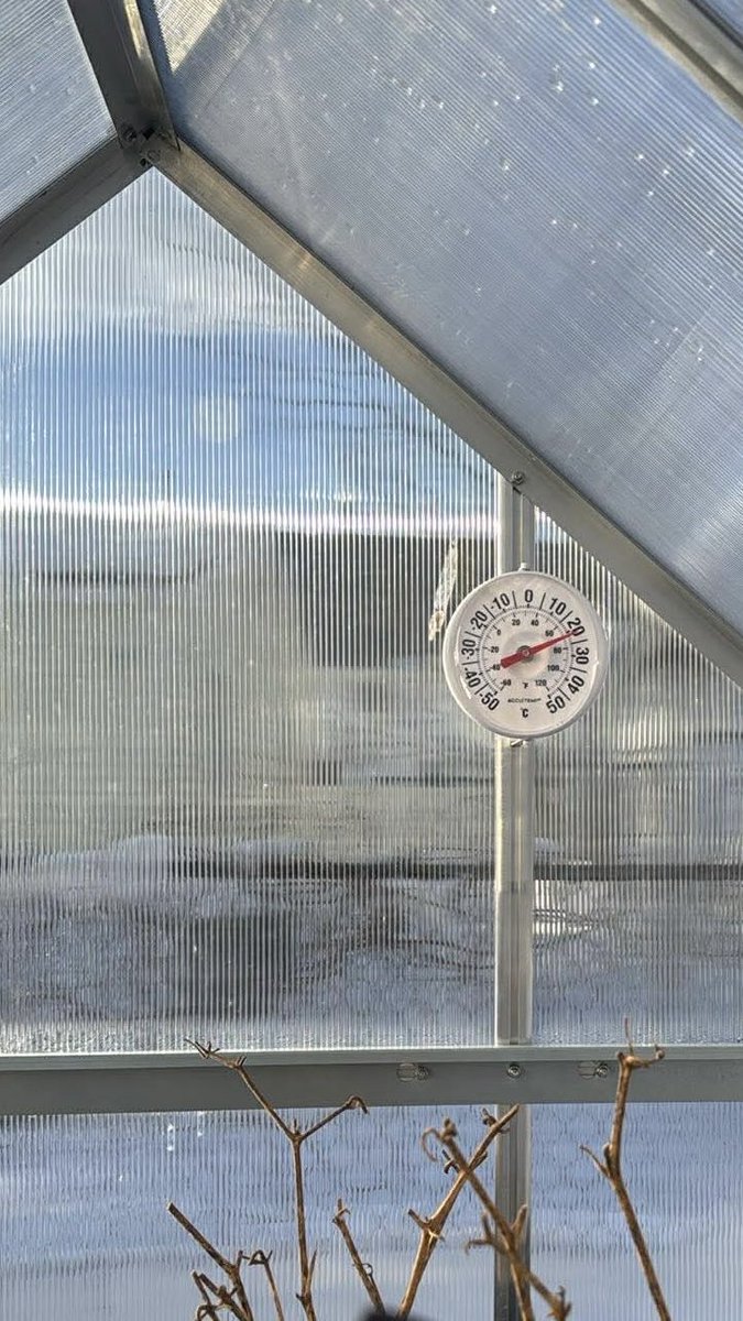 Spring is not far away, it’s getting warm in the greenhouse.