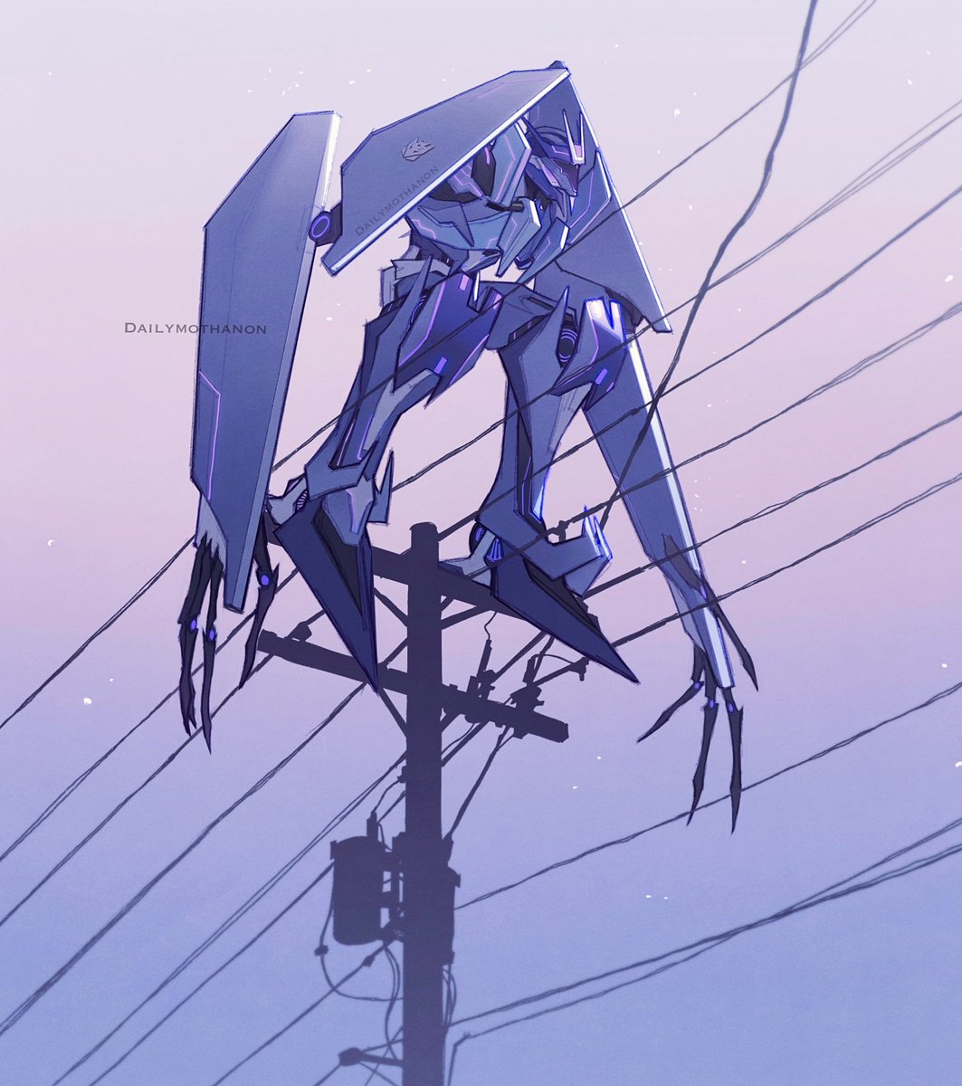 Moth tweet media
