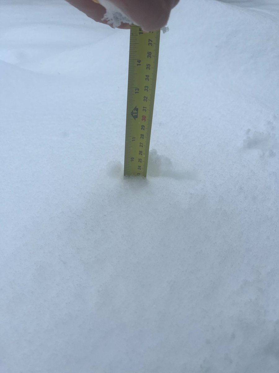 Wrapping up here in Alliston. Around 23.5 cms. #onstorm