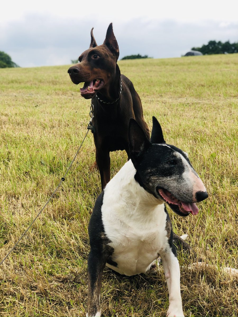 sheilaMol tweet media