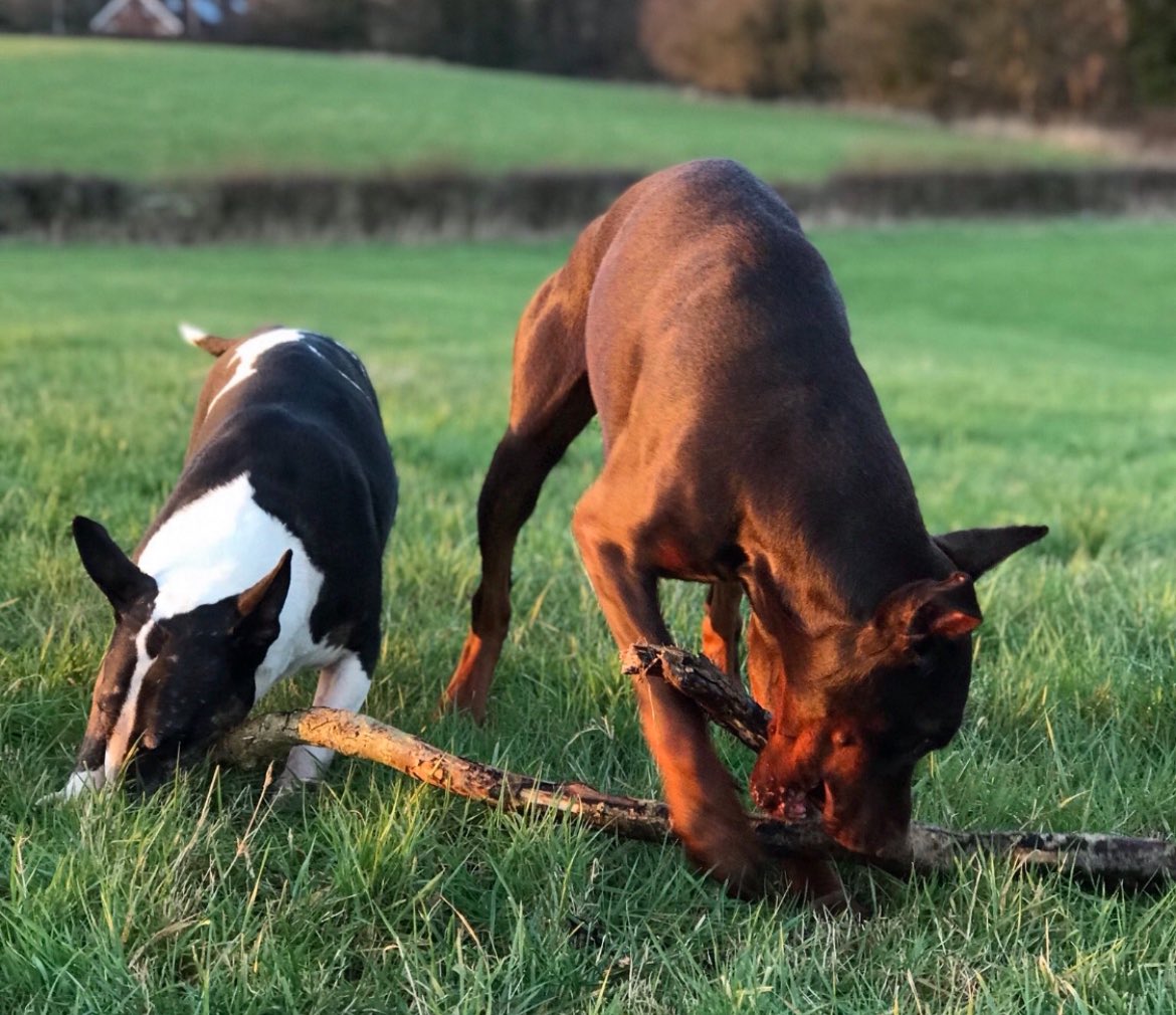 sheilaMol tweet media