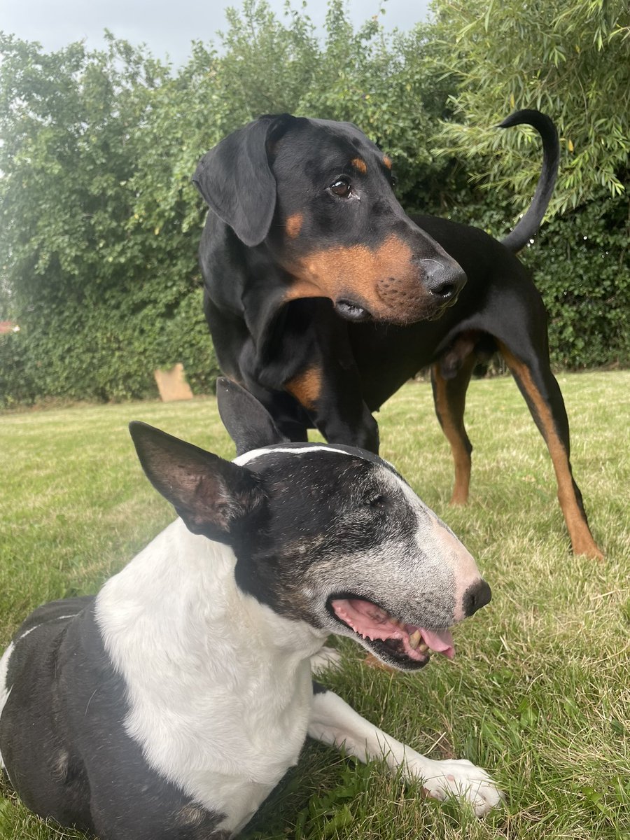 sheilaMol tweet media