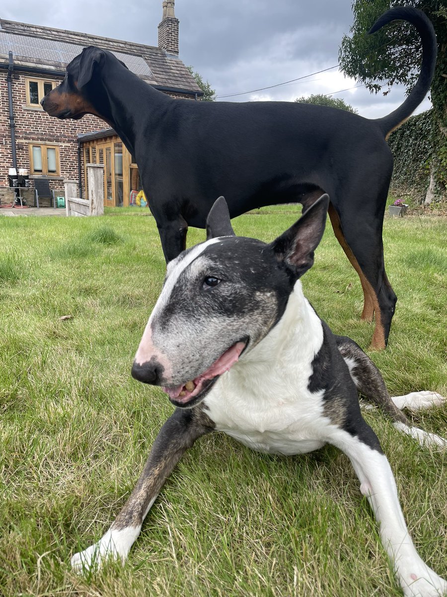 sheilaMol tweet media