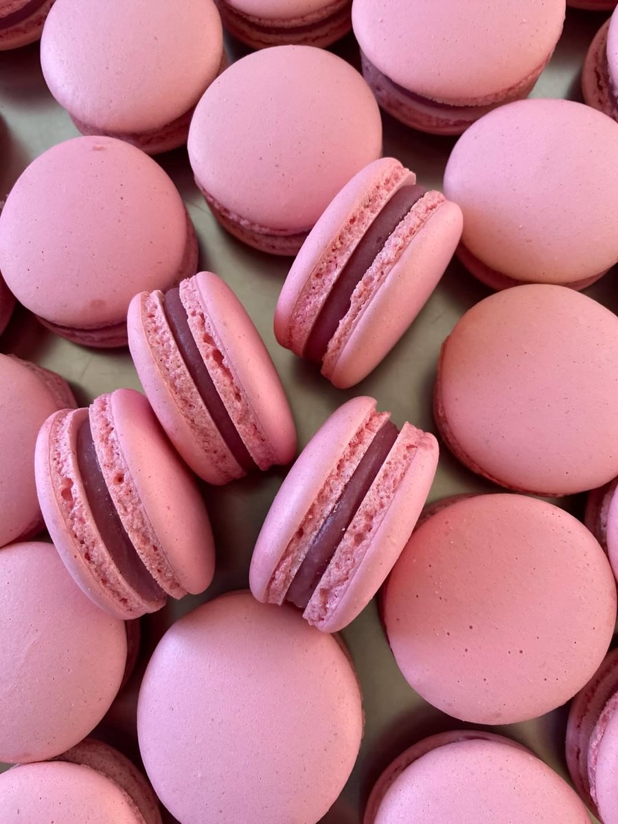 gardenofcolours's tweet image. macarons or cupcakes ?