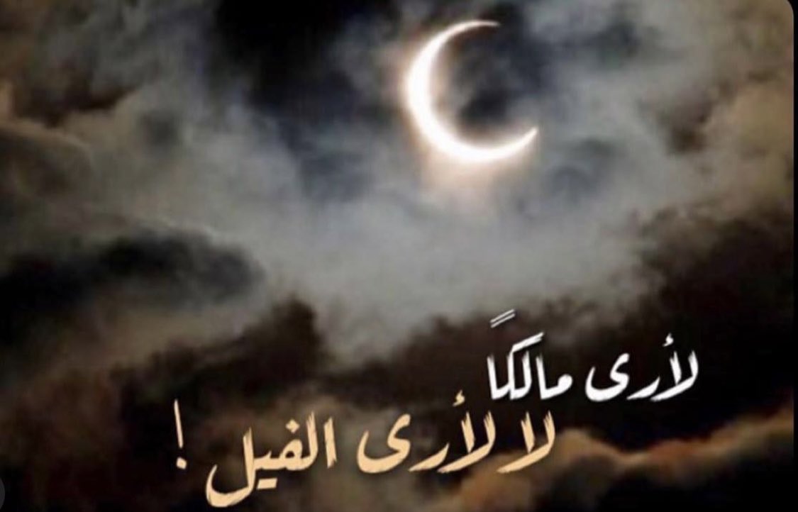İmam Malik, her zamanki gibi Mescid-i Nebevî’de oturmuş, Hz. Muhammed’in (S.A.V.) hadislerini rivayet ediyordu.

Birisi yüksek sesle şöyle bağırdı:
“Medine’ye büyük bir fil geldi!”
(Medine halkı daha önce hiç fil görmemişti.)

Bunun üzerine bütün talebeler fili görmek için koştu