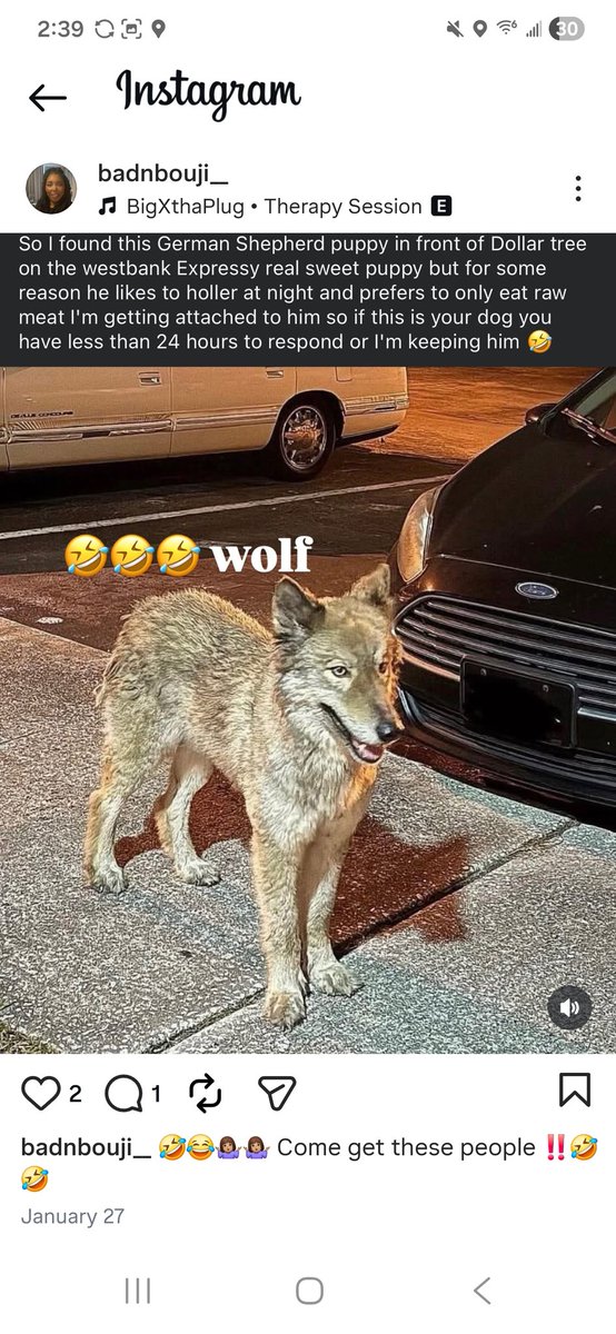 Doug Scott tweet media