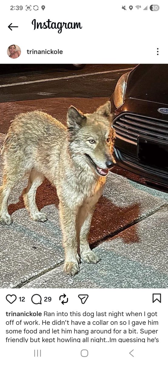 Doug Scott tweet media