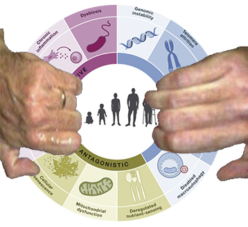 Yan Granat | Immortality or Death! tweet media