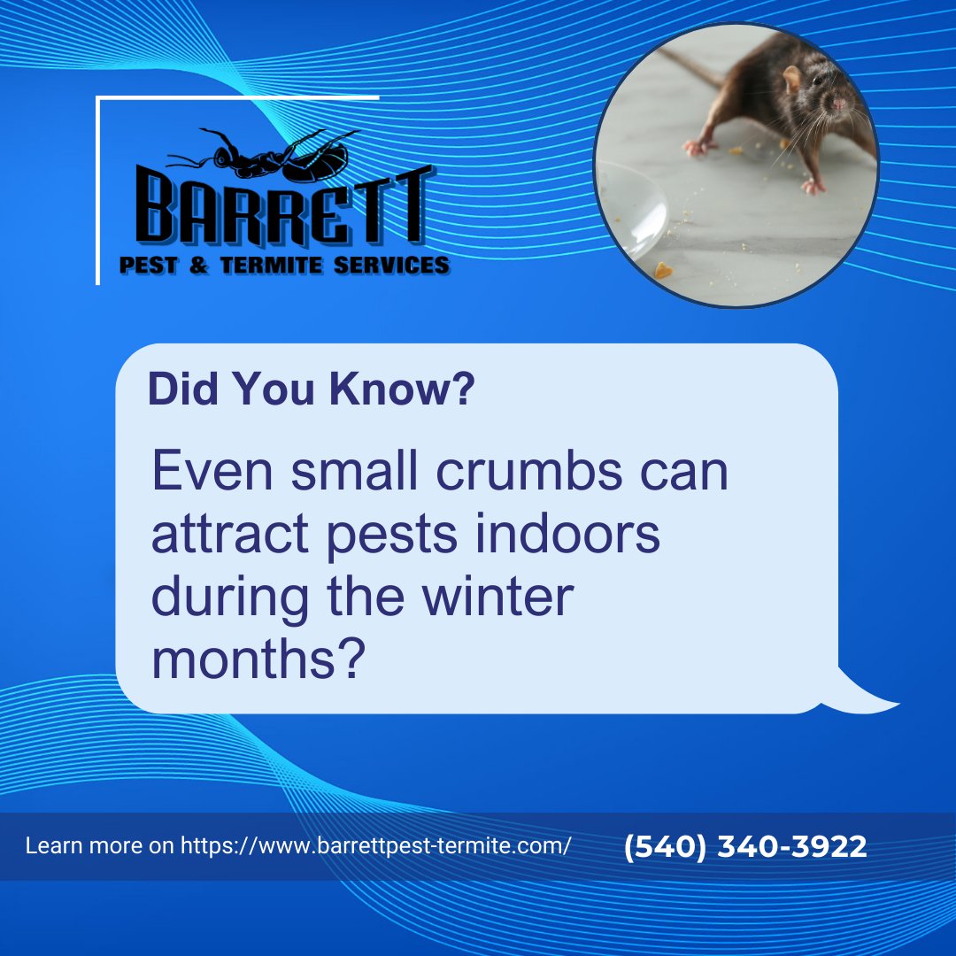 BarrettPest's tweet photo. Pests follow food sources even small crumbs can attract them indoors during winter.

Colder weather drives rodents and insects inside searching for warmth and food.

Don’t wait until it becomes a problem.

Schedule a consultation:
 https://t.co/Xhshktnp5a https://t.co/rsM5k9g0uX