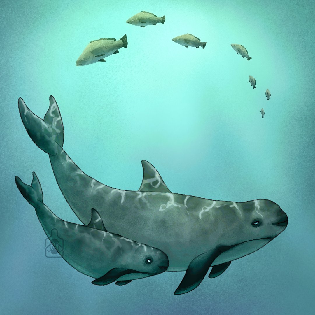 ProsaicCat tweet media