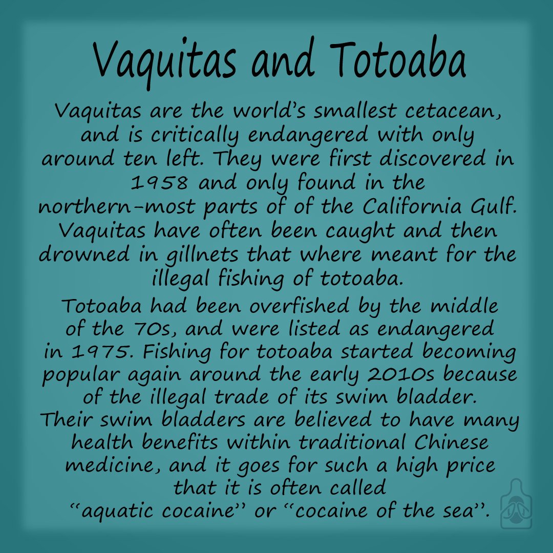 ProsaicCat tweet media