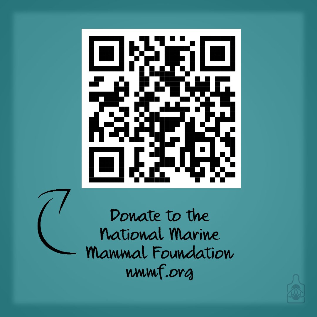 ProsaicCat tweet media