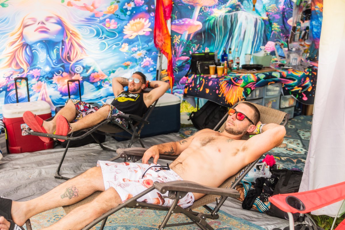 Force Fields tweet media