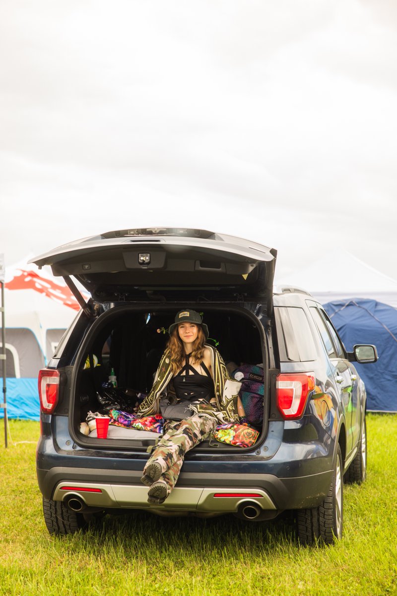 Force Fields tweet media