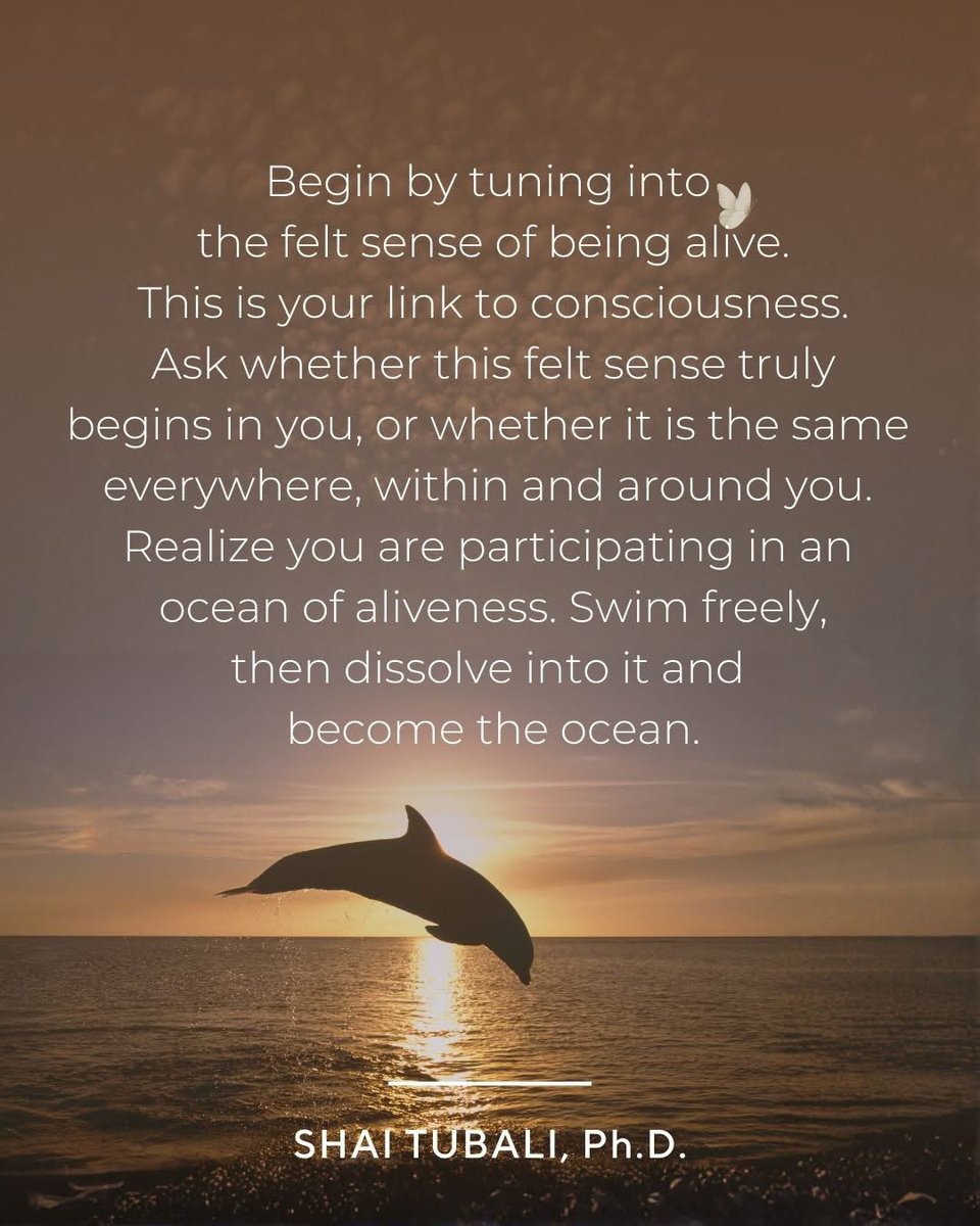 STubali's tweet photo. "Begin by tuning into the felt sense of being alive. 

This is your link to consciousness. 

Ask whether this felt sense truly begins in you, or whether it is the same everywhere, within and around you. 

Realize you are participating in an ocean of aliveness. Swim freely, then dissolve into it and become the ocean."

~ Shai Tubali