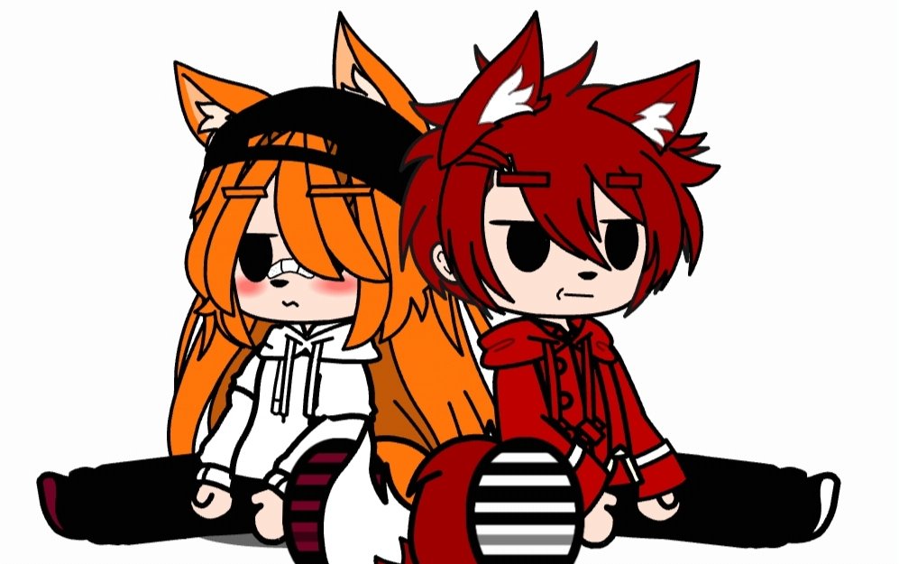 🔞Gus The Fox tweet media