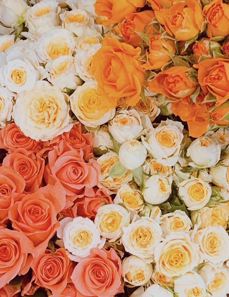 うに🧡 tweet media