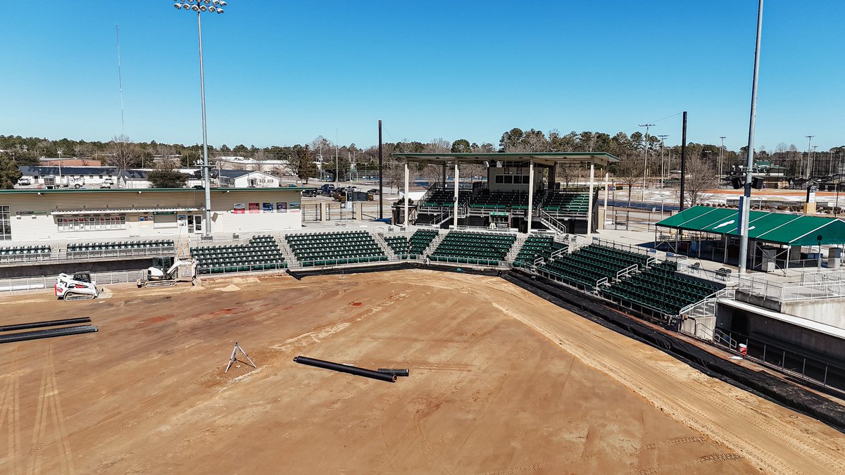 Blowfish Baseball tweet media