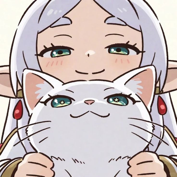 Daily Frieren (@anifrieren) on Twitter photo 