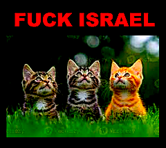 Not_A_Gecko_Man's tweet photo. @Partisan_12 #ZionistIsrael = #DesertNazis = #GodsChosenPeople https://t.co/mbTmD97kXK