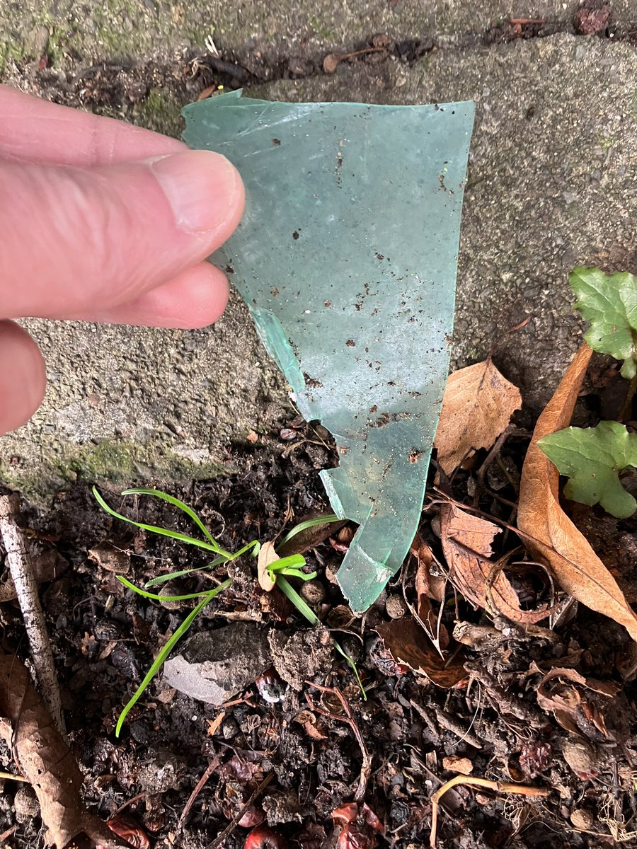 @_pickuplitter tweet media