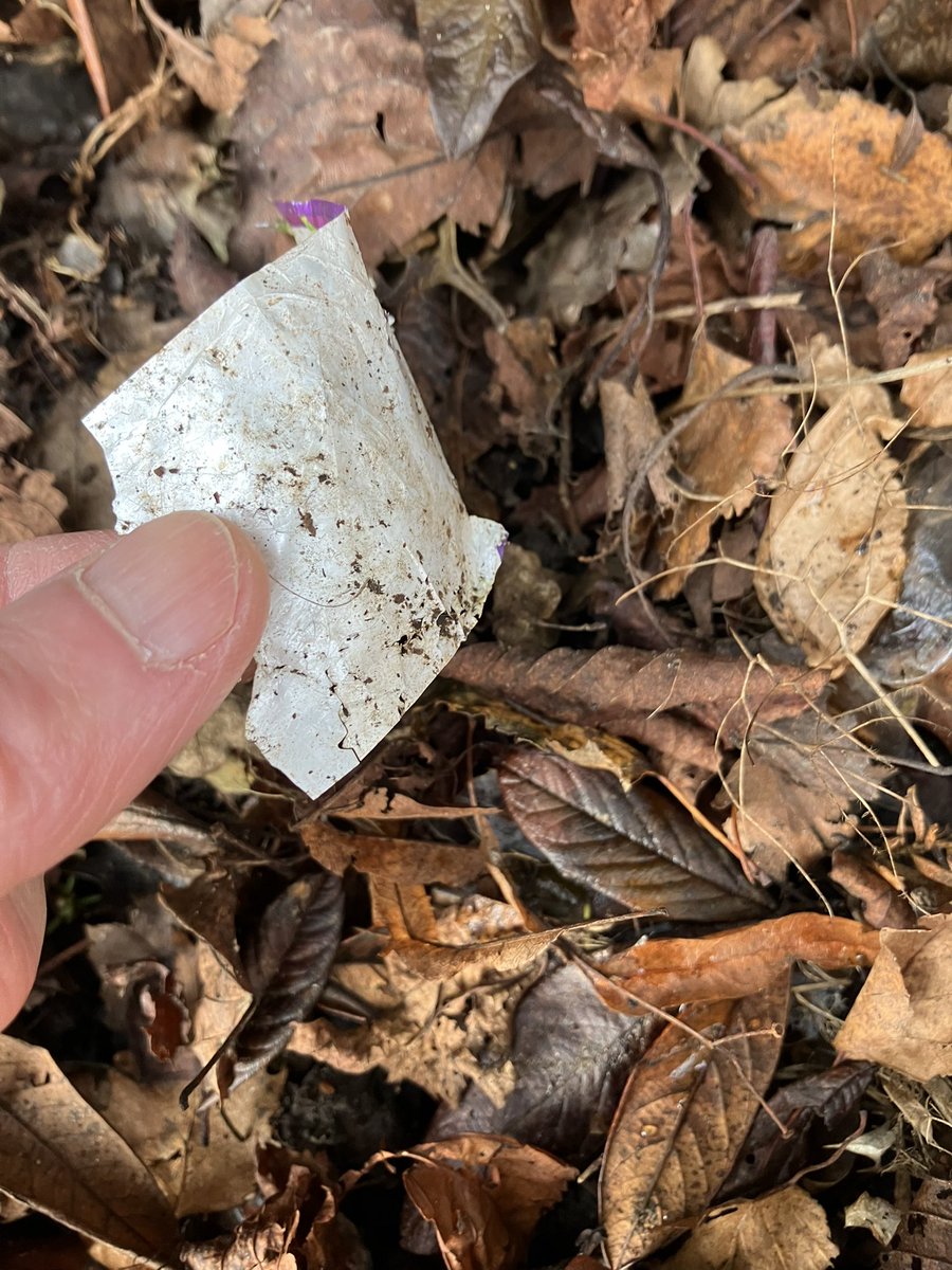 @_pickuplitter tweet media