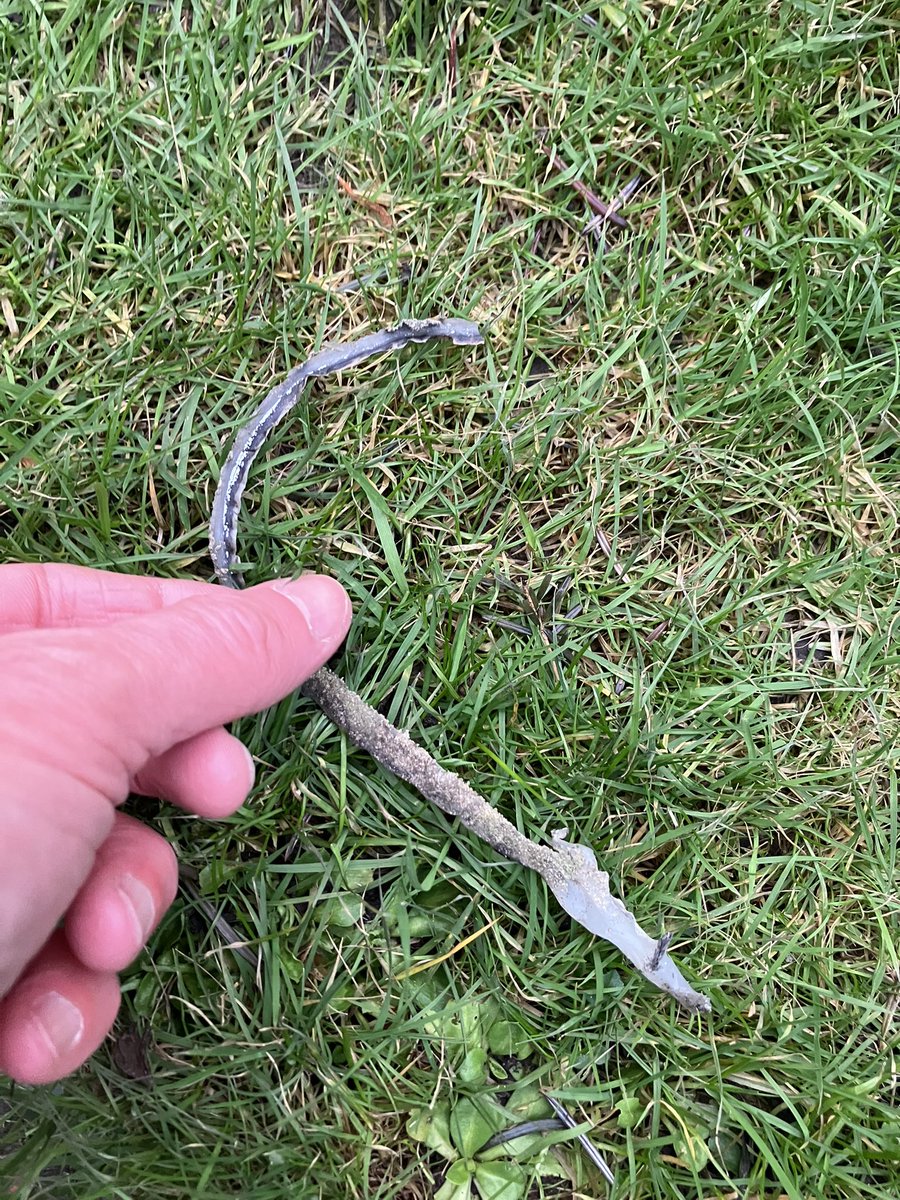 @_pickuplitter tweet media