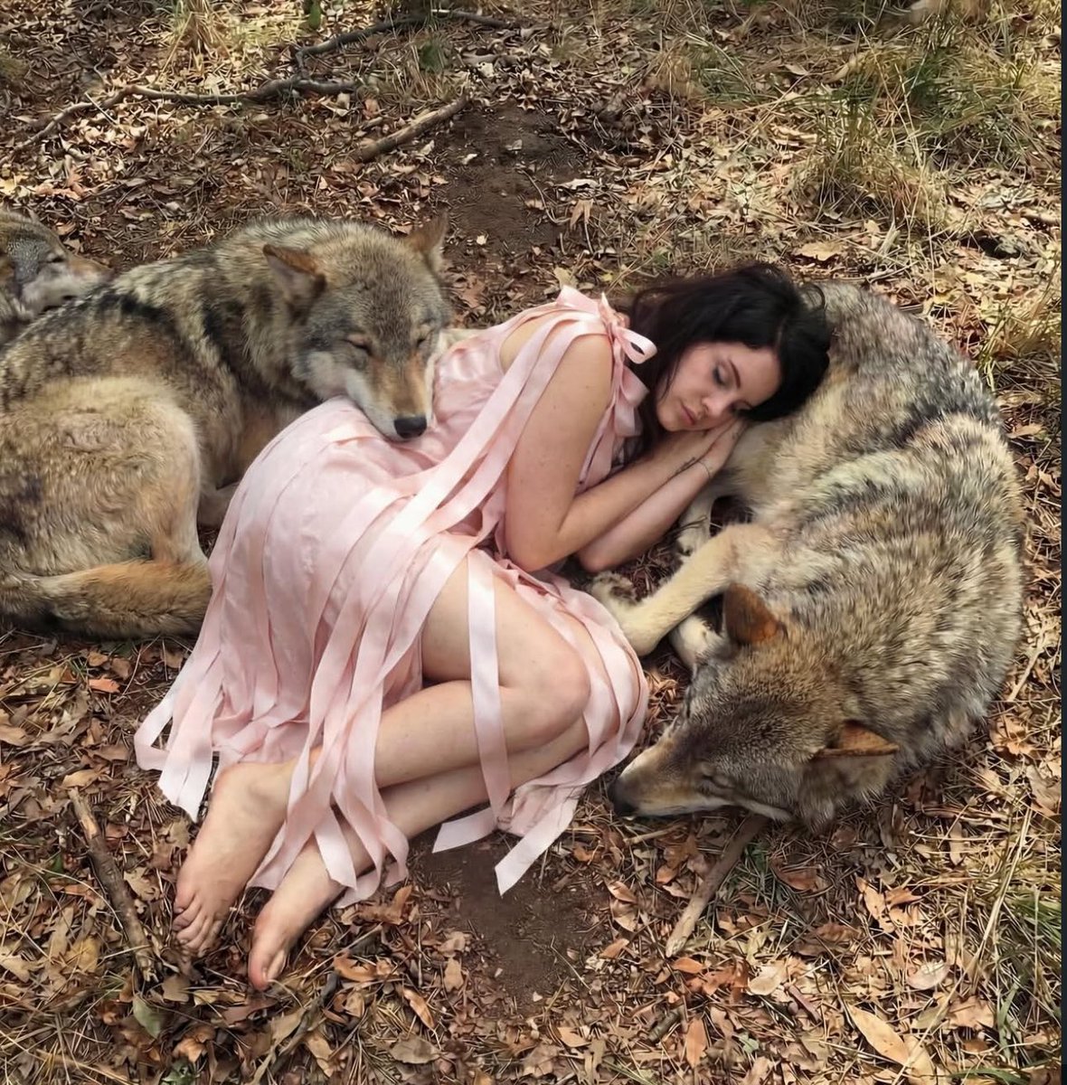 jOsEpH 🐮 tweet media