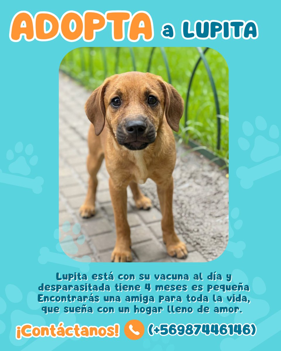 Ⓕⓤⓝⓓⓐⓒⓘⓞⓝ ⒾⓀⒾⒼⒶⒾ tweet media