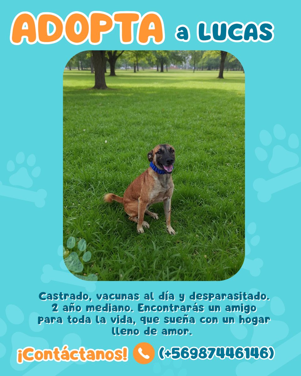 Ⓕⓤⓝⓓⓐⓒⓘⓞⓝ ⒾⓀⒾⒼⒶⒾ tweet media