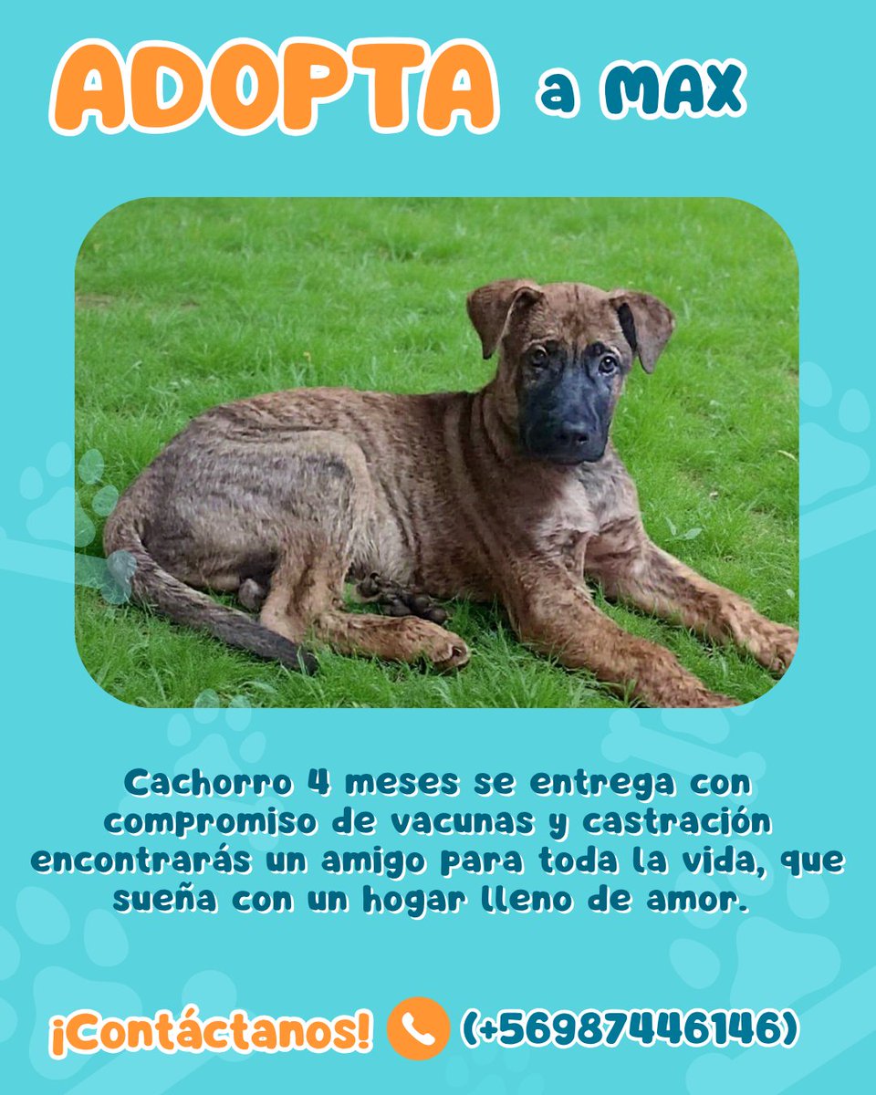 Ⓕⓤⓝⓓⓐⓒⓘⓞⓝ ⒾⓀⒾⒼⒶⒾ tweet media