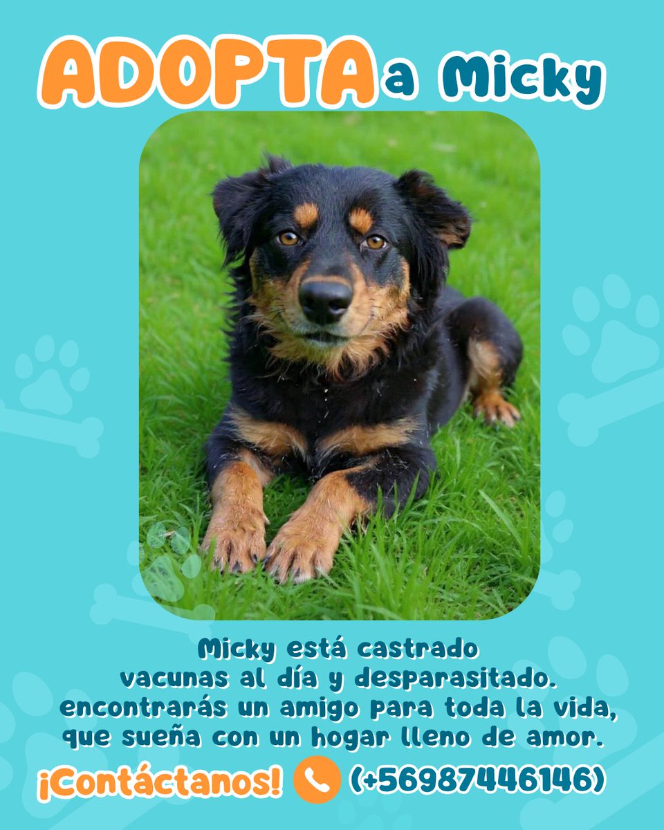 Ⓕⓤⓝⓓⓐⓒⓘⓞⓝ ⒾⓀⒾⒼⒶⒾ tweet media