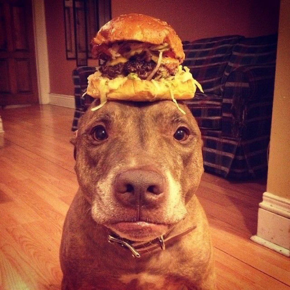 the mood for today if i’m being fucking honest