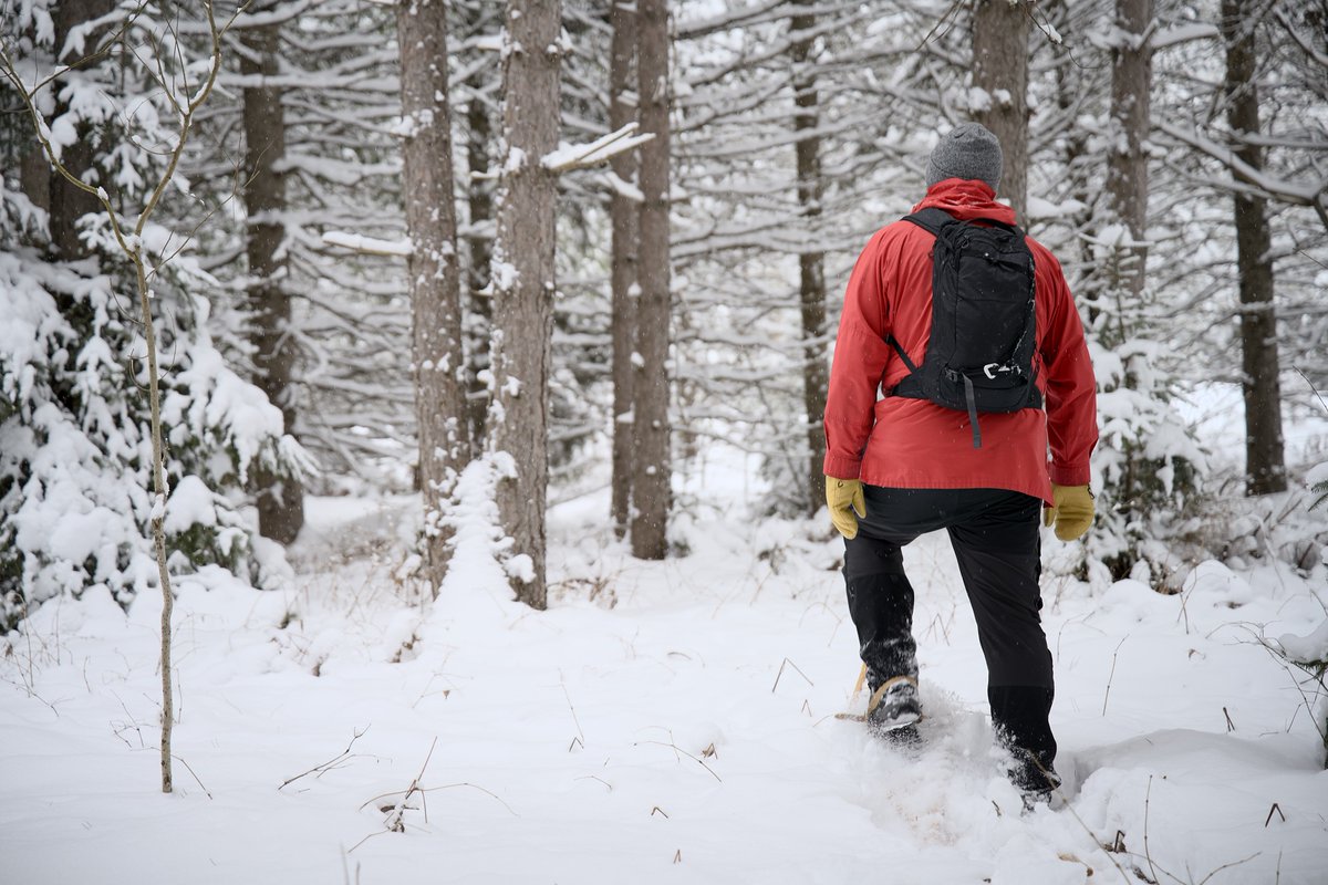 Ontario Parks tweet media