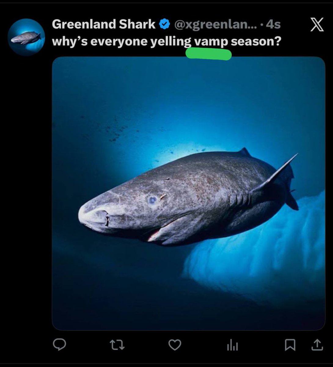 Just got proof that $VAMP is the same dev behind $SHARK 👀

And remember… $SHARK ran to $6M.

Contract:
44mKvQrcLpJLYL5ZnR9sRgDTSqKjb9KtrL2ahRUNpump